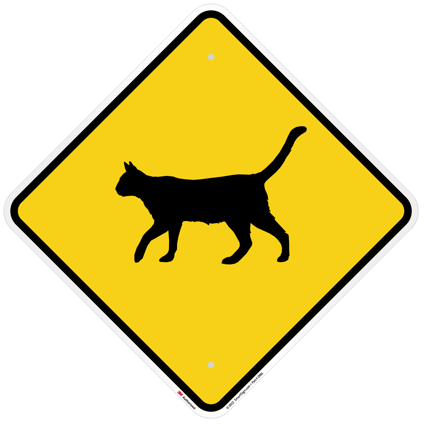be careful of the cat